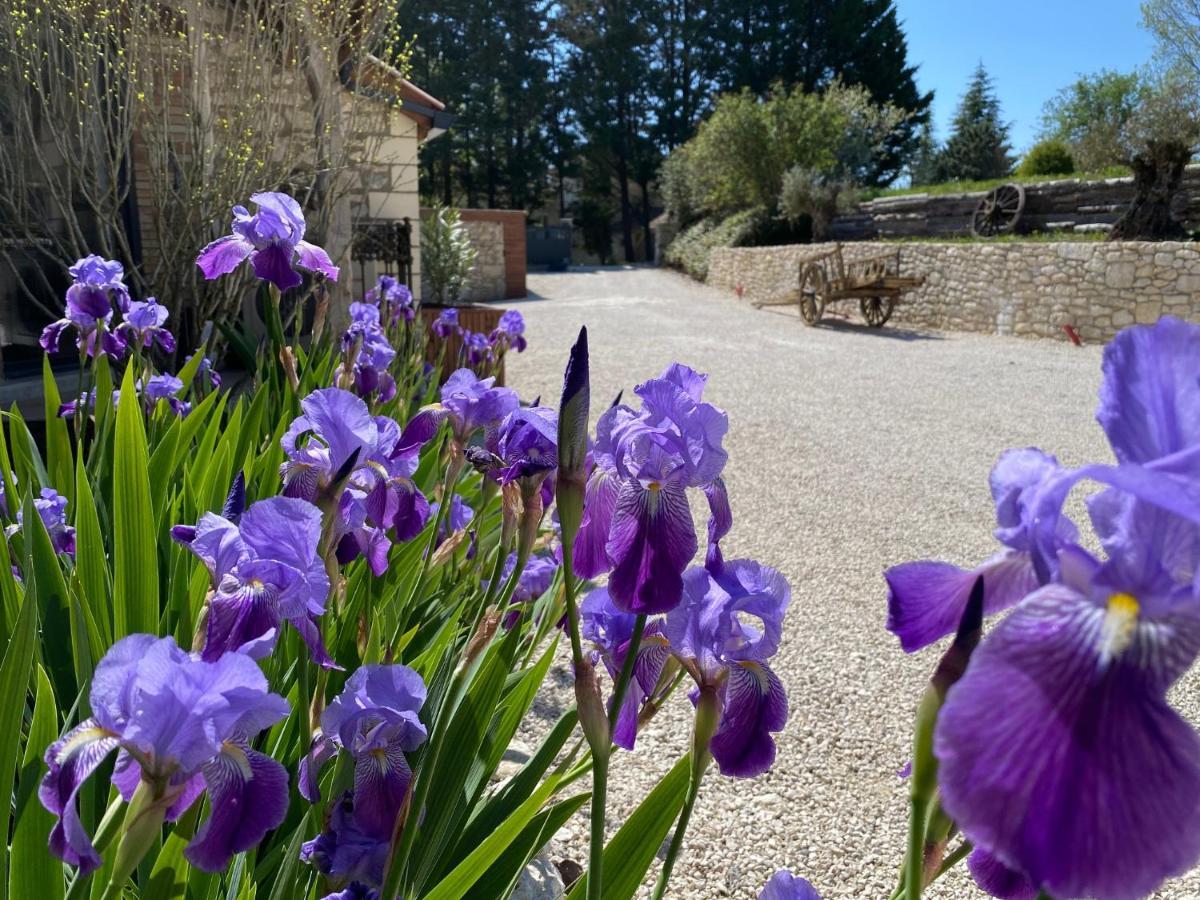Bed and Breakfast Le Relais De Campagne Trejouls Exterior foto